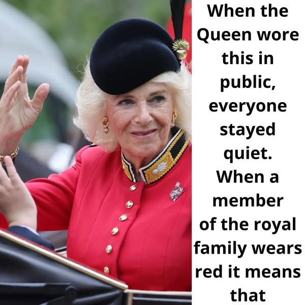 26+ Strict and Bizarre Rules the Royal Family Must Follow