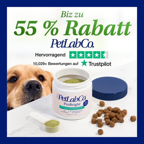 ✨ Probright: Bis zu 55% Rabatt! ✨